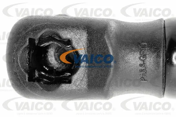 Gas Spring, boot/cargo area