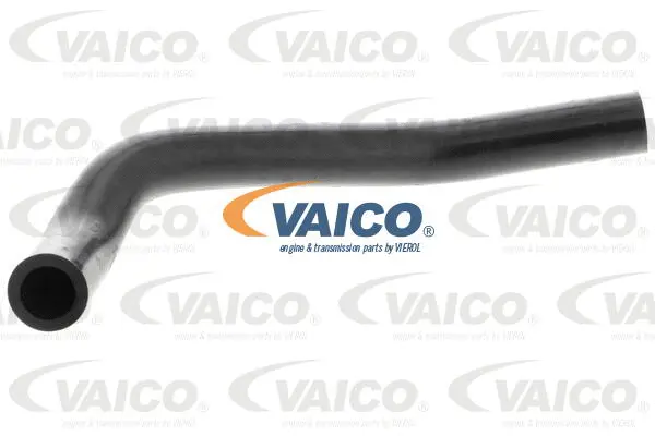 Intake Hose, air filter