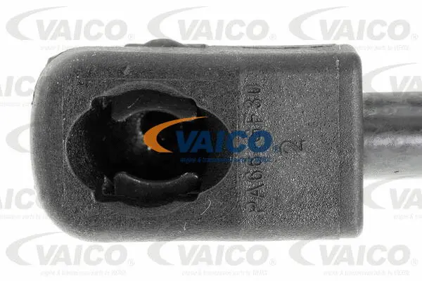 Gas Spring, bonnet