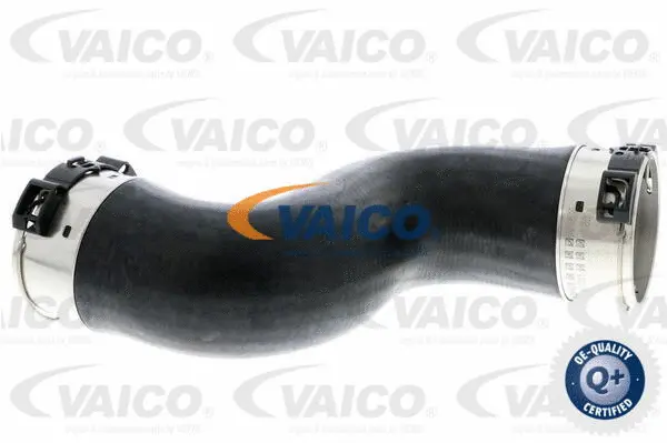 Charge Air Hose