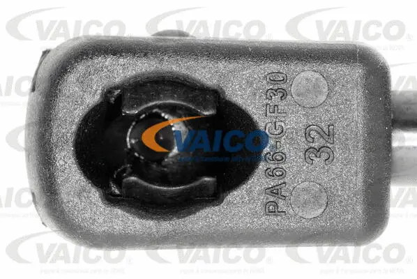 Gas Spring, boot/cargo area