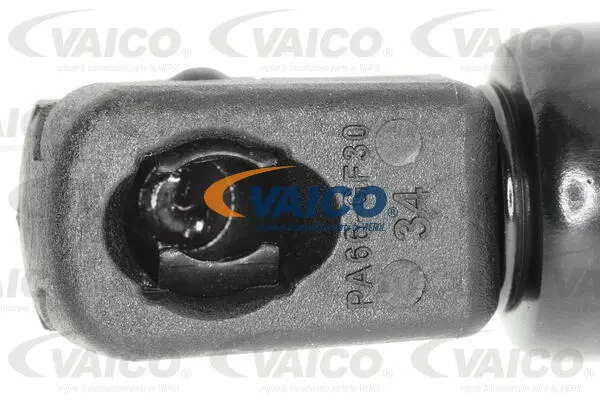 Gas Spring, boot/cargo area