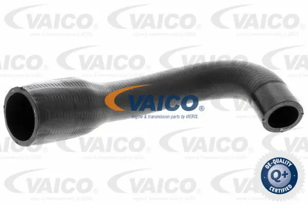 Charge Air Hose