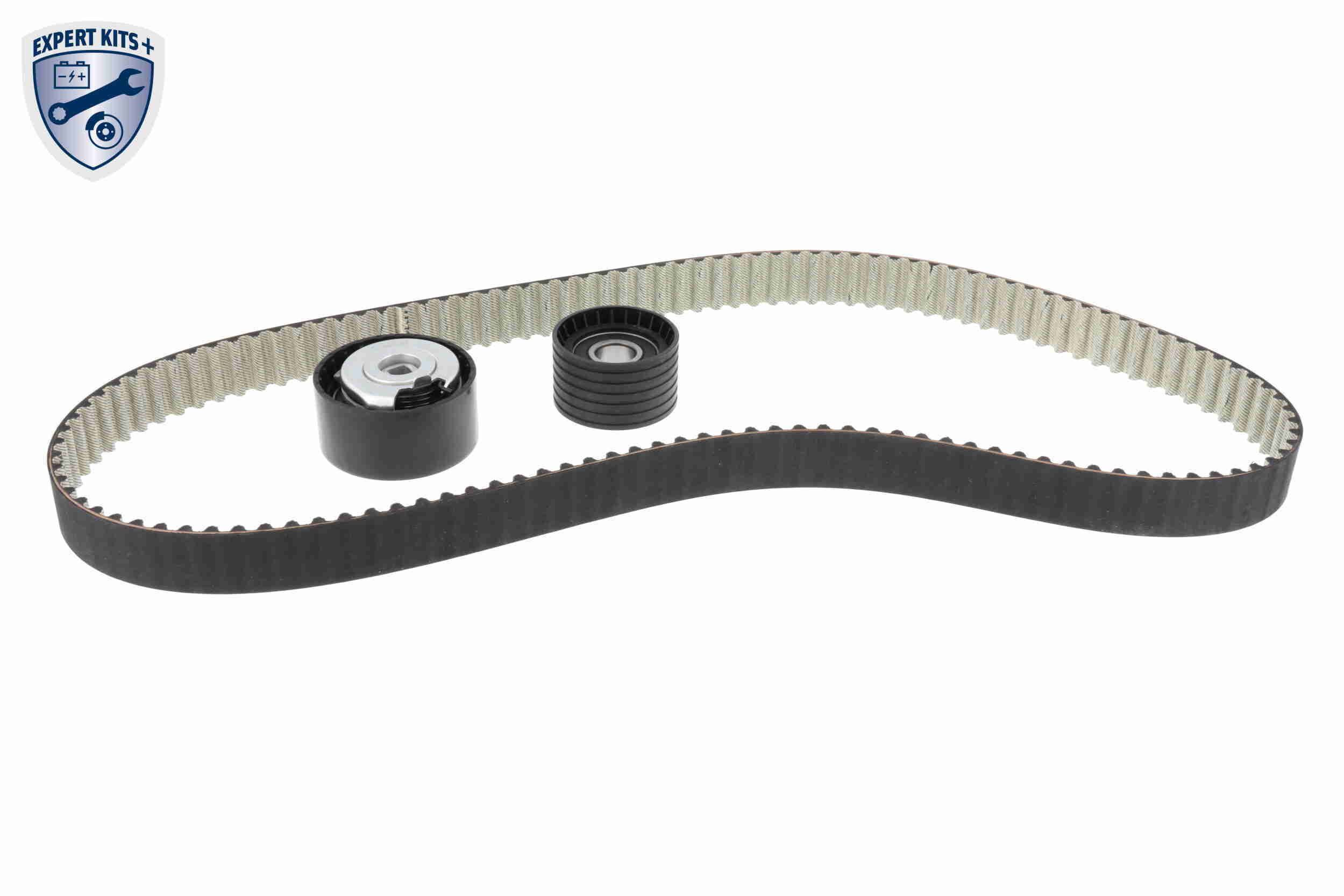 Timing Belt Kit (V46-1420)