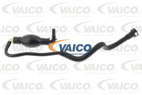Fuel Line