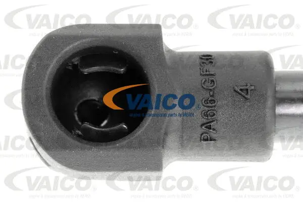 Gas Spring, boot/cargo area