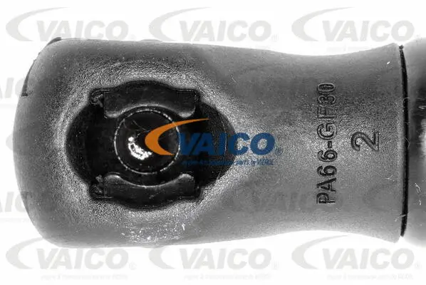 Gas Spring, boot/cargo area