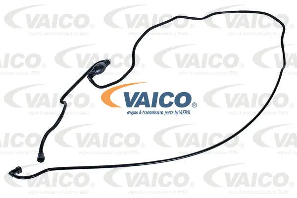 Fuel Line