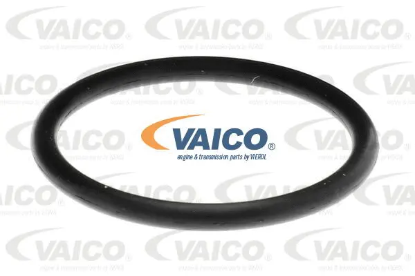 Coolant Flange