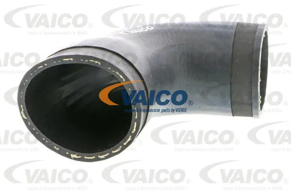 Charge Air Hose