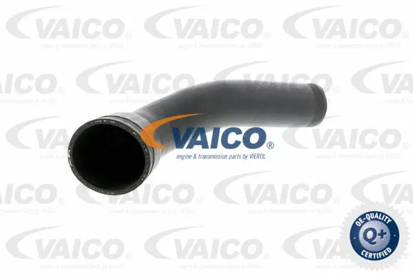 Charge Air Hose