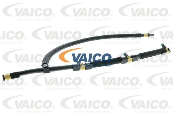 Hose, fuel overflow