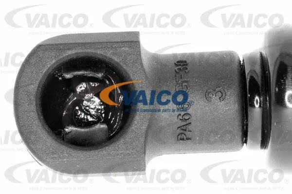 Gas Spring, boot/cargo area