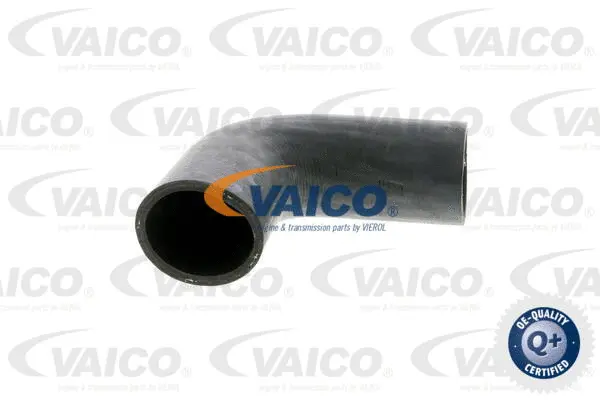 Charge Air Hose