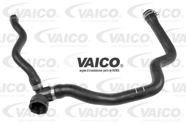 Radiator Hose