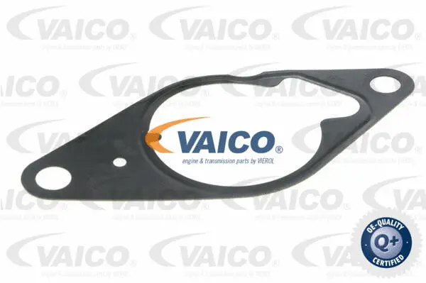 Vacuum Pump, braking system