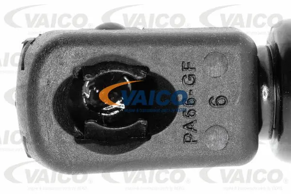 Gas Spring, bonnet