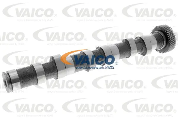 Camshaft
