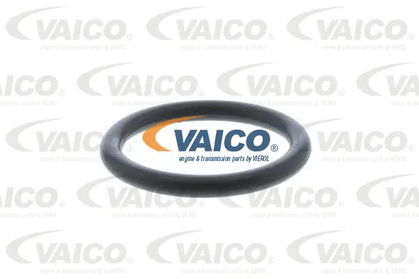 Seal Ring, radiator cap bolt