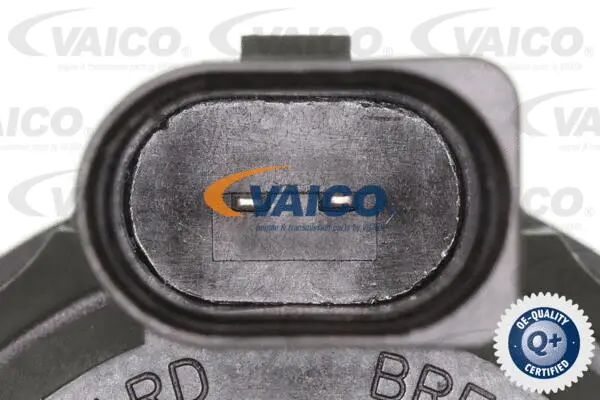 Cap, coolant tank