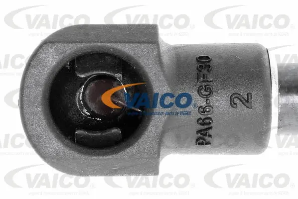 Gas Spring, boot/cargo area