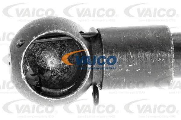 Gas Spring, boot/cargo area