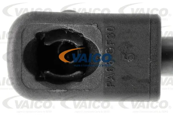 Gas Spring, boot/cargo area