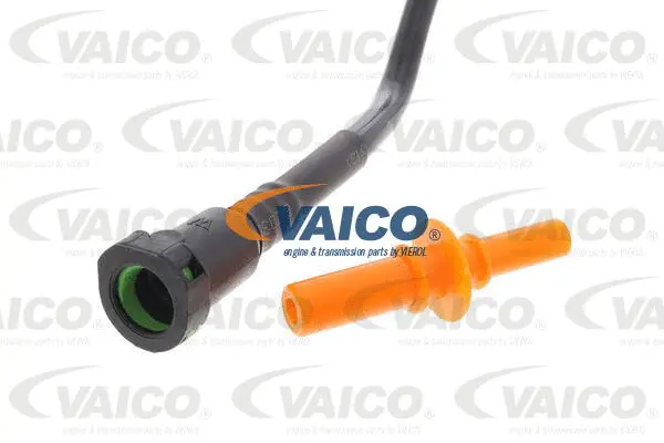 Fuel Line