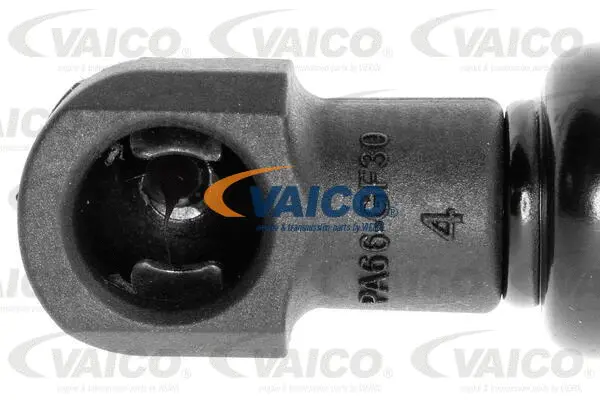 Gas Spring, boot/cargo area