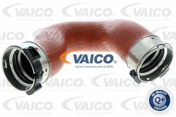 Charge Air Hose