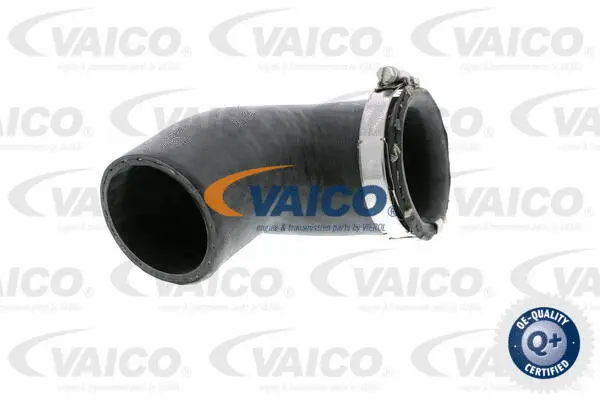 Charge Air Hose