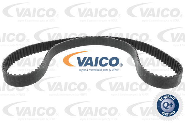 Timing Belt