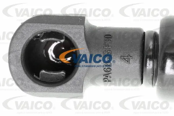 Gas Spring, boot/cargo area