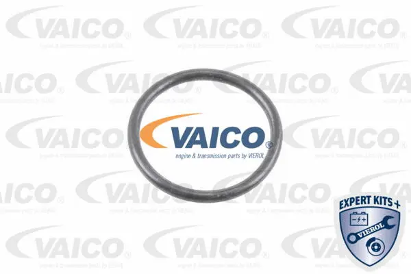 Hydraulic Filter Kit, automatic transmission