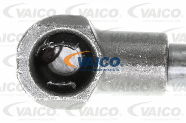 Gas Spring, bonnet