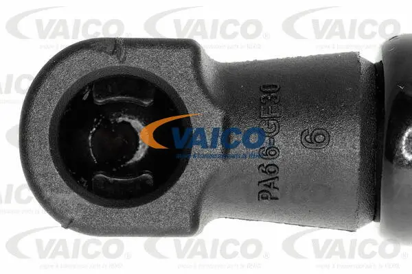 Gas Spring, boot/cargo area