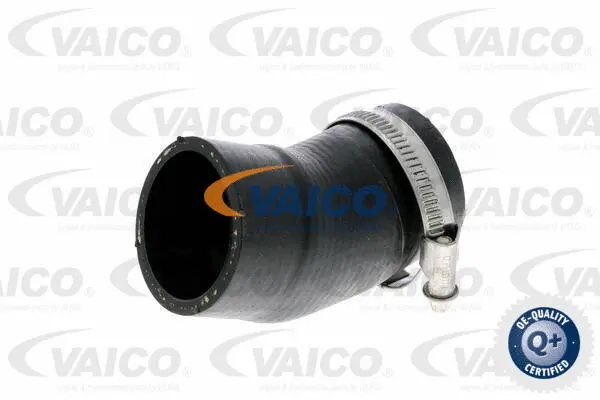 Charge Air Hose