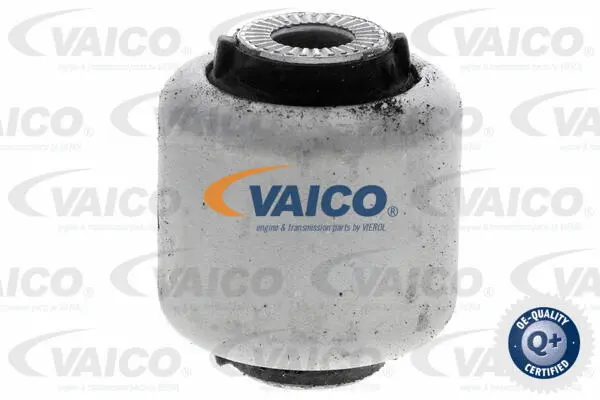 Mounting, control/trailing arm