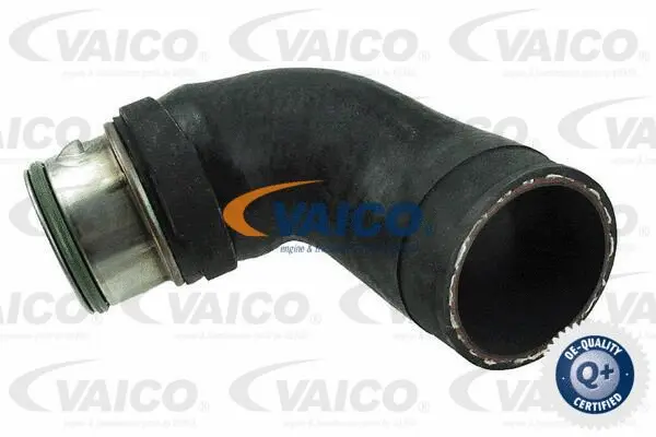 Charge Air Hose