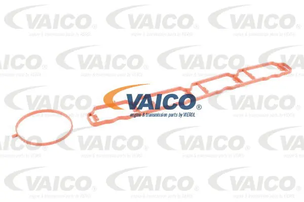 Intake Manifold Module