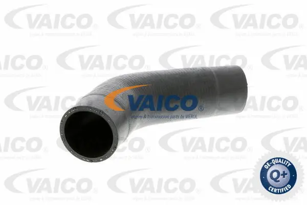 Charge Air Hose