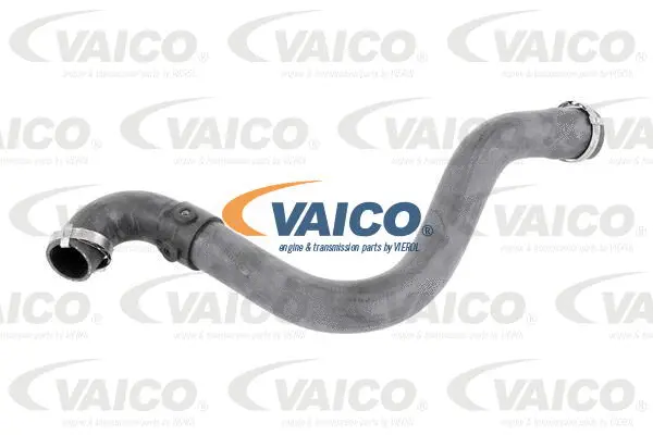 Charge Air Hose
