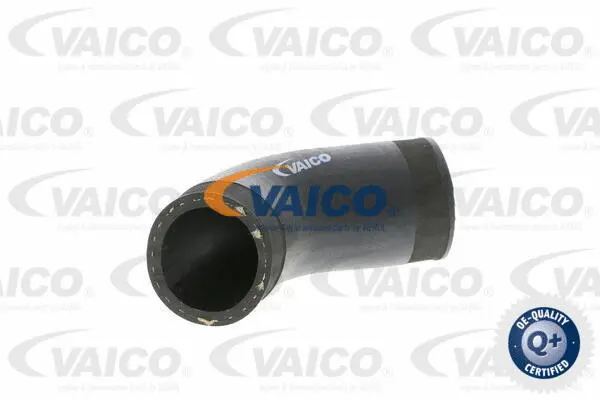 Charge Air Hose