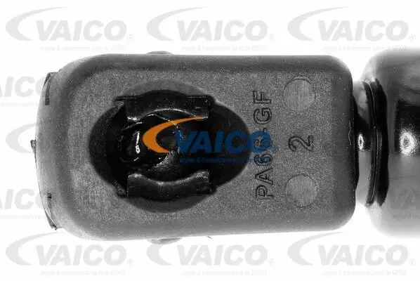 Gas Spring, boot/cargo area