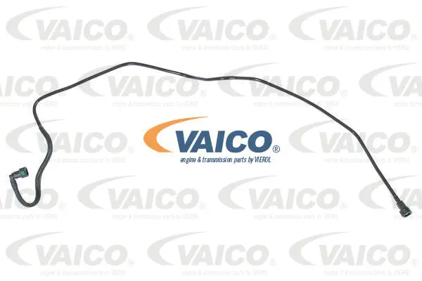 Fuel Line