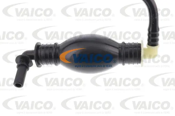 Fuel Line