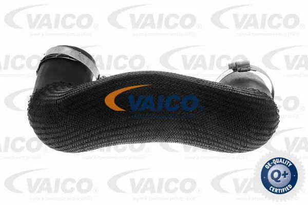 Charge Air Hose