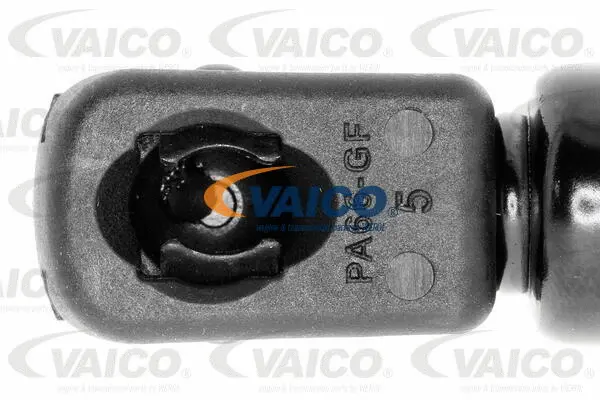 Gas Spring, boot/cargo area