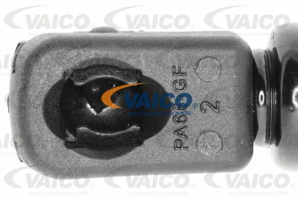 Gas Spring, boot/cargo area
