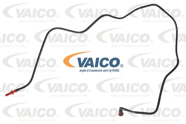 Fuel Line